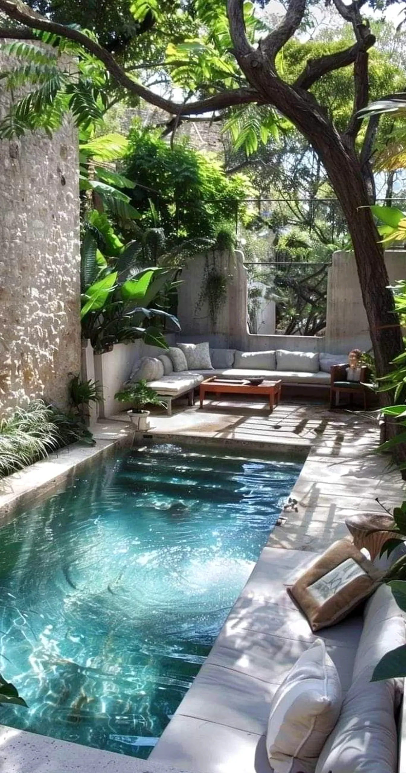 Sunny poolside setting supports the view through warmth, leaving the space feeling visually grounded.