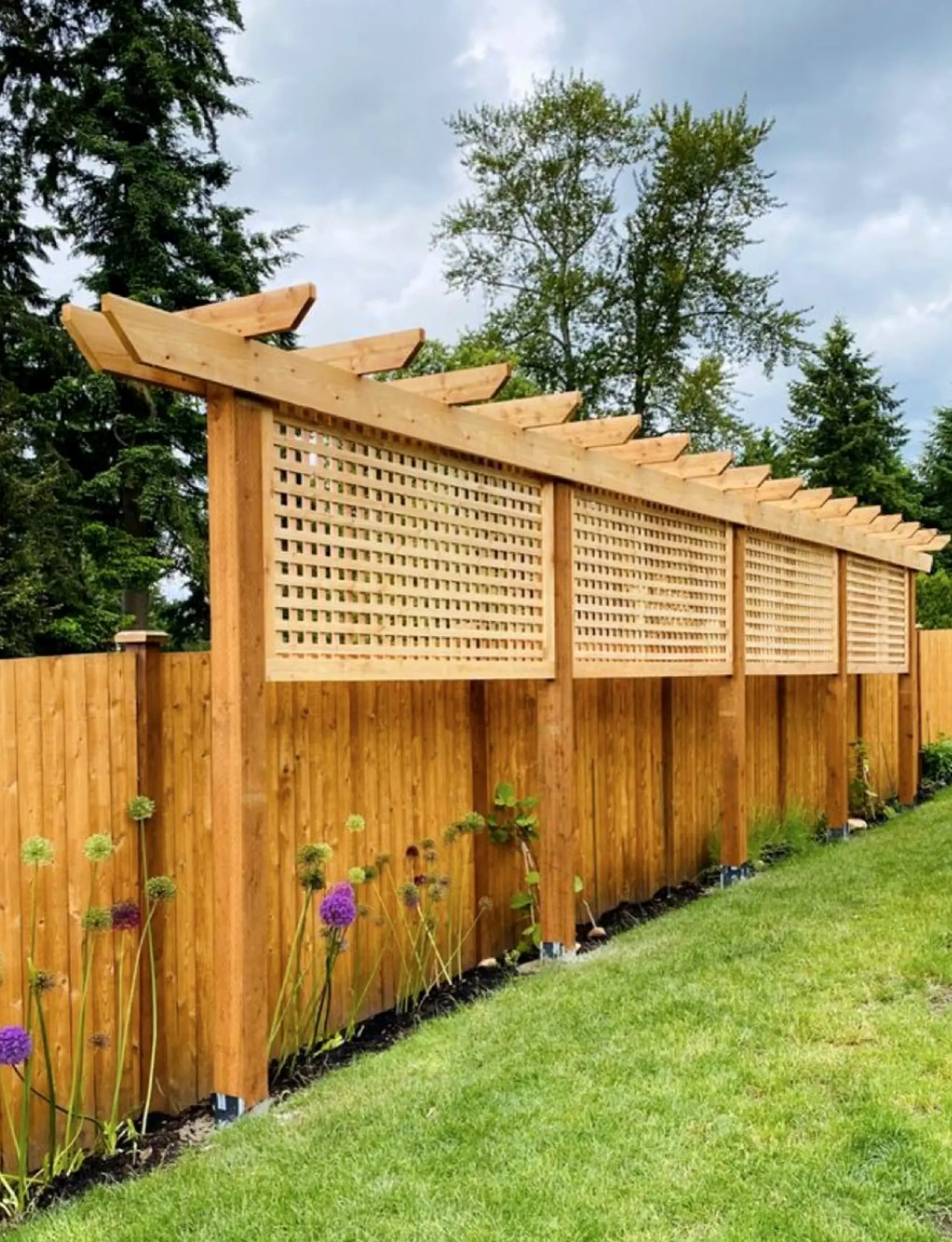 Tactile green entry anchors the backdrop with balance, giving the view a mood that feels open and lived-in.