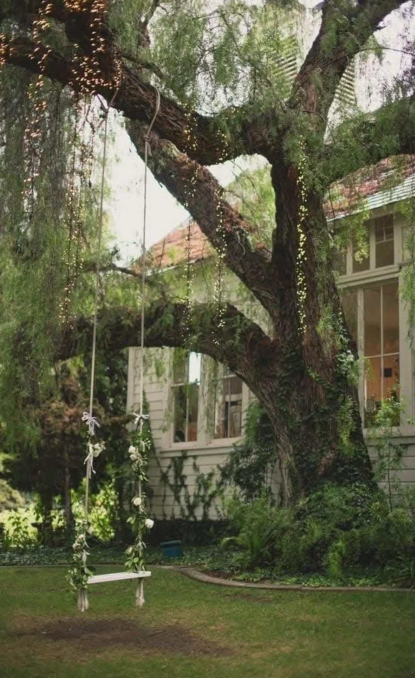 Earthy greenhouse corner gives the backdrop more comfort, so the whole view feels simple yet expressive.