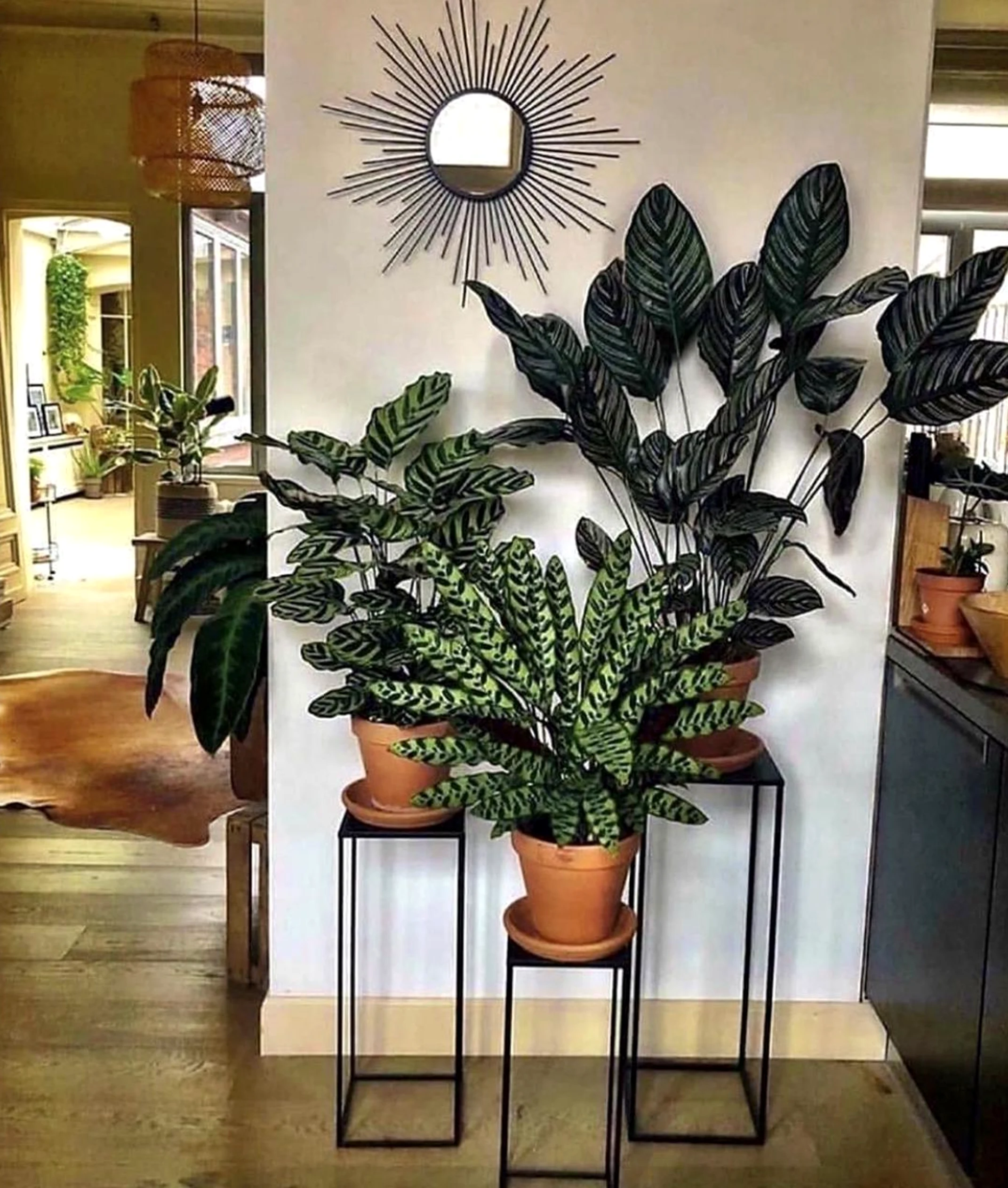 Sculptural plant shelf brings texture to the design, creating a mood that feels simple yet expressive.