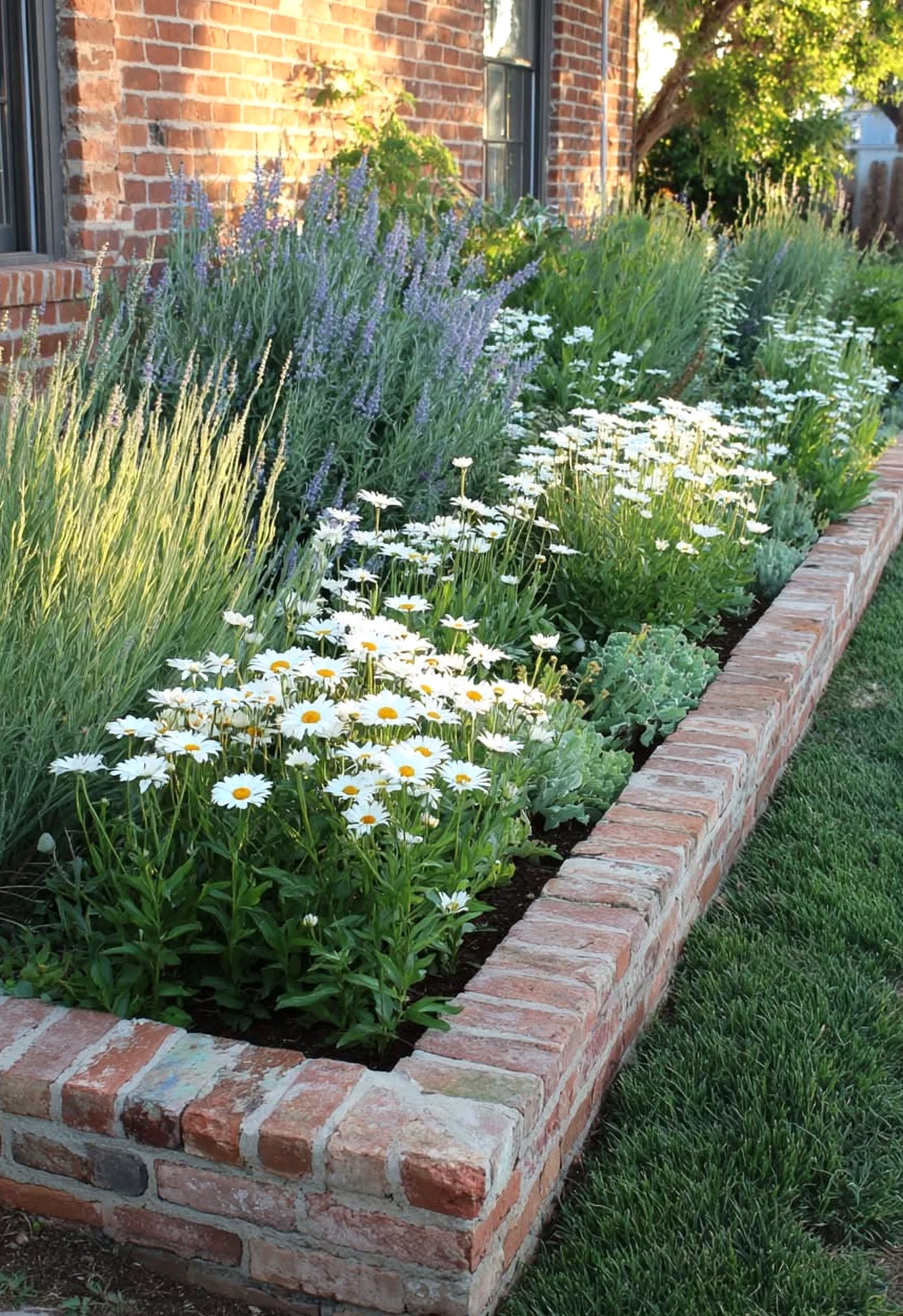 Bright arched doorway supports the garden edge through detail, leaving the space feeling warm without clutter.